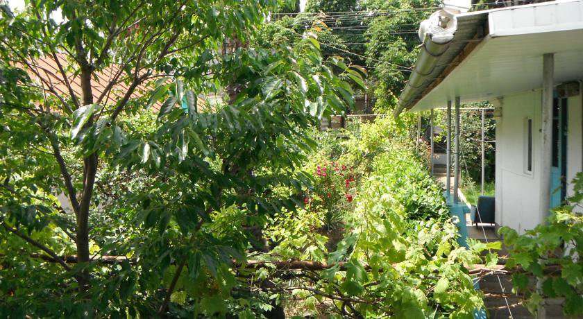 Гостиница Guest house Pionerskaya 42 Алушта-29