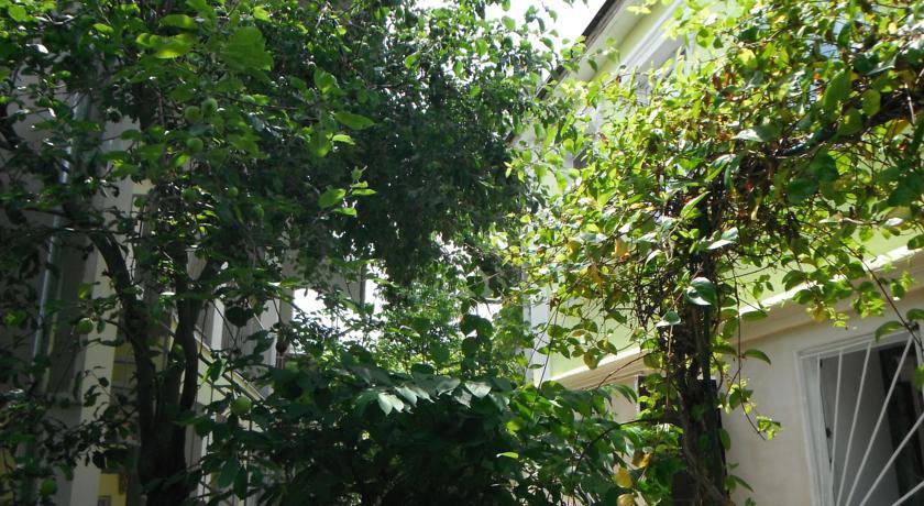 Гостиница Guest house Pionerskaya 42 Алушта-14